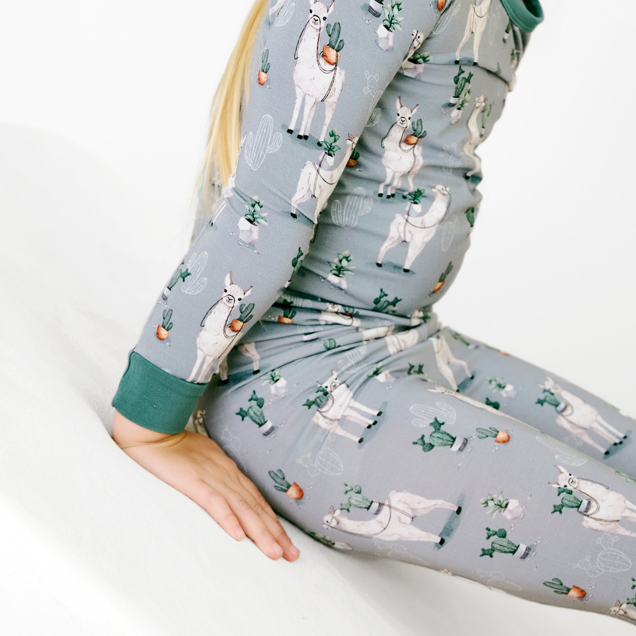 Prickly Llama Long Sleeve PJ's